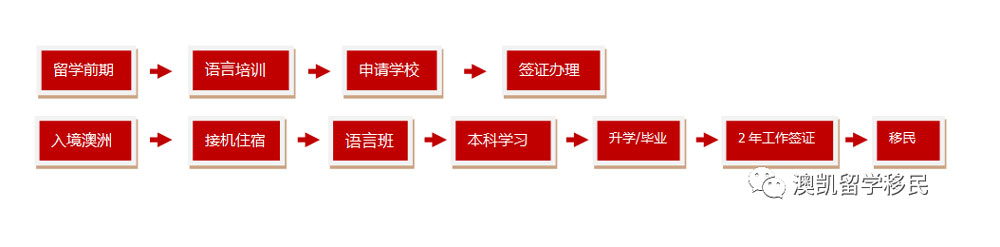 Study-abroad-process