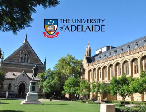 【课程推荐】阿德莱德大学硕士预科——澳洲八大的专升硕课程