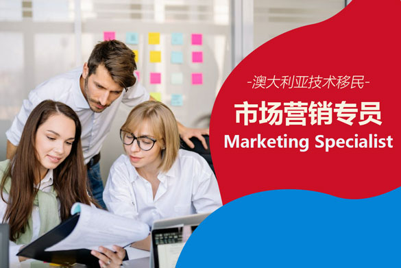 225113市场营销专员Marketing Specialist